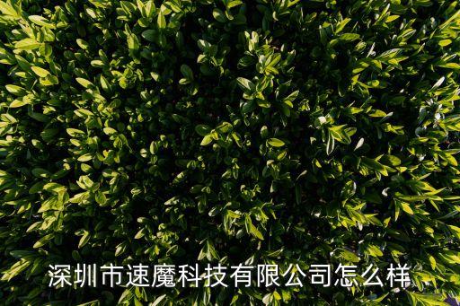 深圳市速魔科技有限公司怎么樣