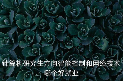 計(jì)算機(jī)研究生方向智能控制和網(wǎng)絡(luò)技術(shù)哪個(gè)好就業(yè)