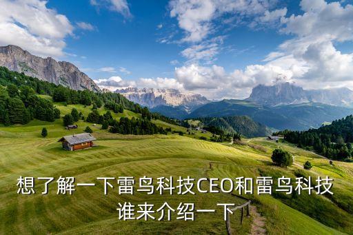 想了解一下雷鳥科技CEO和雷鳥科技誰來介紹一下