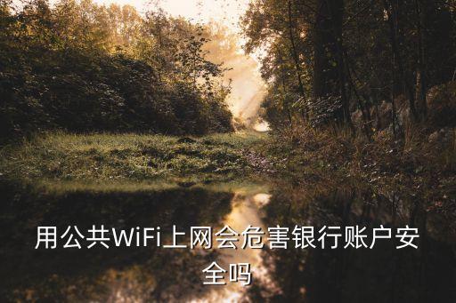 用公共WiFi上網(wǎng)會危害銀行賬戶安全嗎