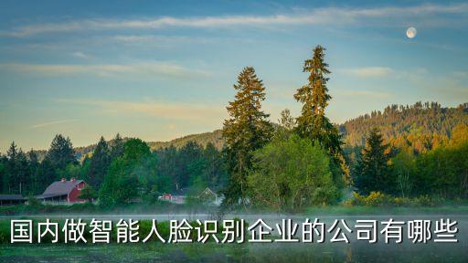國內(nèi)做智能人臉識別企業(yè)的公司有哪些