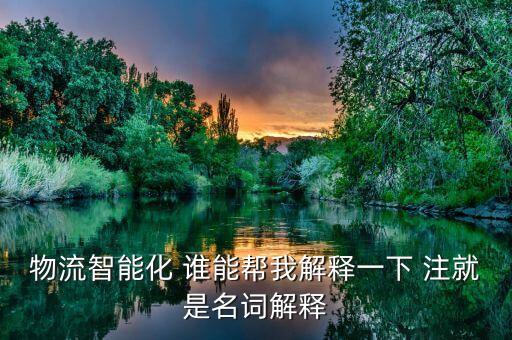 物流智能化 誰能幫我解釋一下 注就是名詞解釋