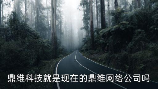 鼎維科技就是現(xiàn)在的鼎維網(wǎng)絡(luò)公司嗎
