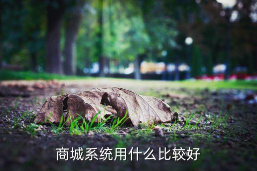 商城系統(tǒng)用什么比較好