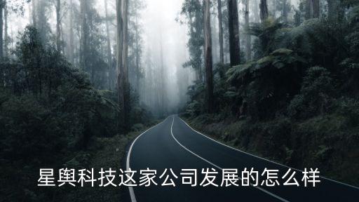 星輿科技這家公司發(fā)展的怎么樣