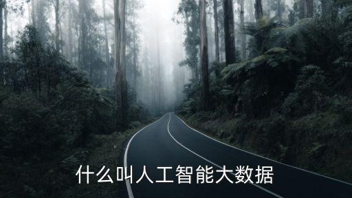 什么叫人工智能大數(shù)據(jù)