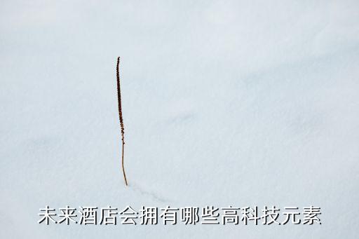 未來酒店會(huì)擁有哪些高科技元素