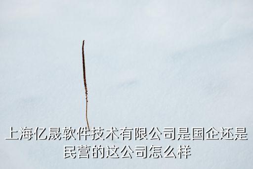 億晟智能科技公司怎么樣，上海億晟軟件技術(shù)有限公司是一家什么樣的公司