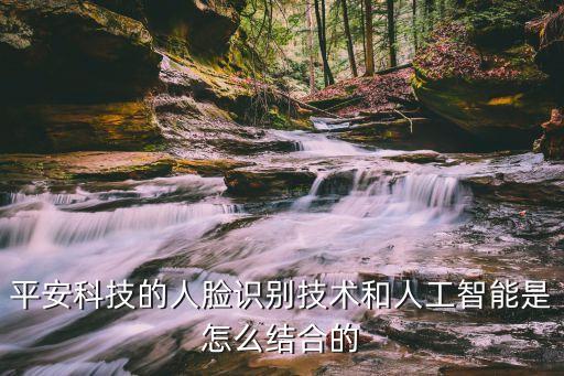 科技個險如何智能面訪，平安科技的人臉識別技術(shù)和人工智能是怎么結(jié)合的