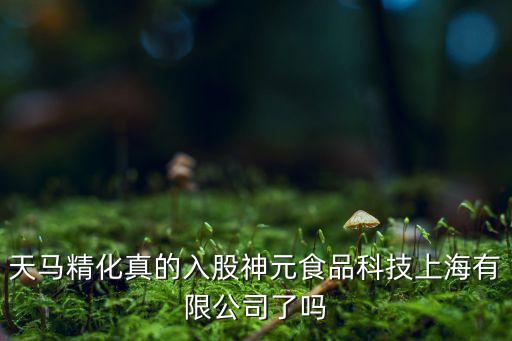神元智能科技怎么樣，天馬精化真的入股神元食品科技上海有限公司了嗎