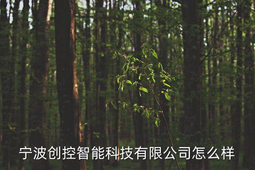 寧遠(yuǎn)創(chuàng)智能科技怎么樣，沈陽寧遠(yuǎn)技術(shù)服務(wù)有限公司怎么樣