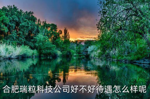 合肥瑞納智能科技怎么樣，合肥瑞?？萍加邢薰菊影?/></a></span><span id=