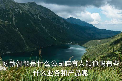新科技新智能是什么公司，SPI新維智能的全稱是什么