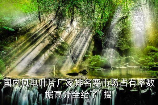 國(guó)內(nèi)風(fēng)電葉片廠家排名要市場(chǎng)占有率數(shù)據(jù)高分全給了  搜