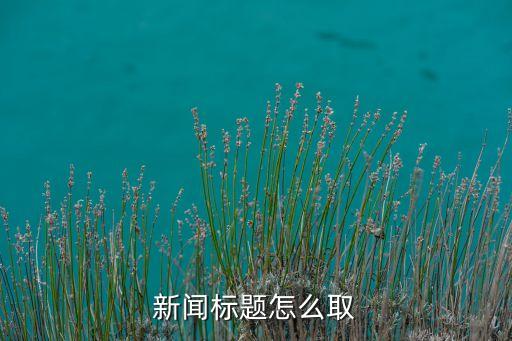 新聞標(biāo)題怎么取