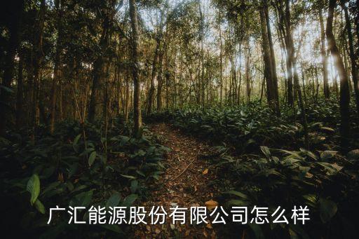 廣匯智能科技怎么樣，新疆廣匯新能源有限公司信譽(yù)度怎么樣