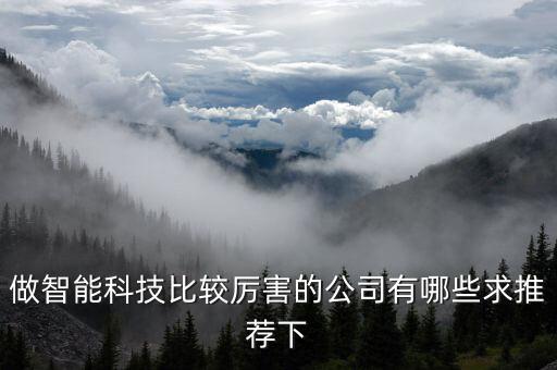 做智能科技比較厲害的公司有哪些求推薦下