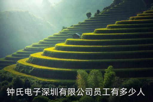 鐘氏電子深圳有限公司員工有多少人