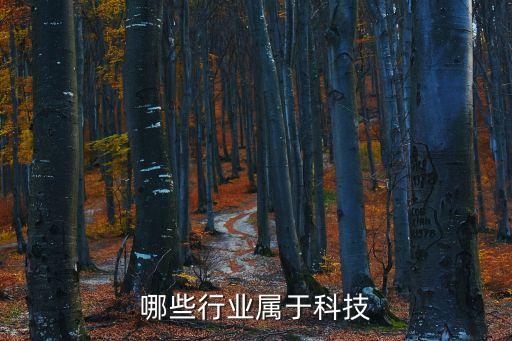 哪些行業(yè)屬于科技