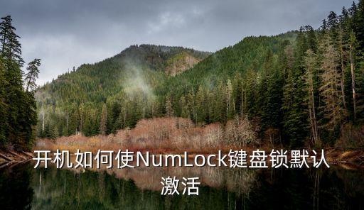 開機(jī)如何使NumLock鍵盤鎖默認(rèn)激活