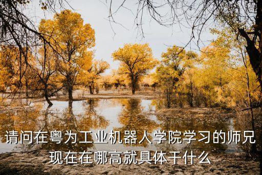 廣東學(xué)森智能科技做什么的，請問在粵為工業(yè)機(jī)器人學(xué)院學(xué)習(xí)的師兄現(xiàn)在在哪高就具體干什么