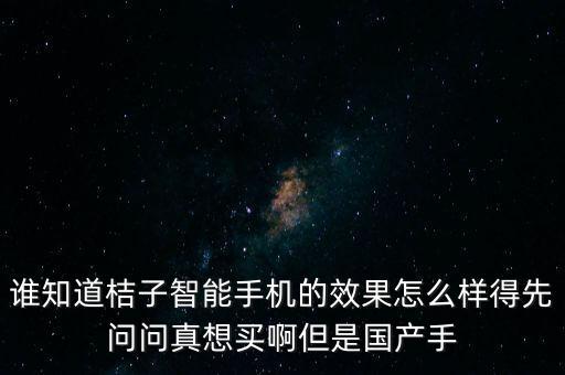 誰知道桔子智能手機(jī)的效果怎么樣得先問問真想買啊但是國產(chǎn)手