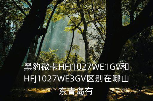 黑豹微卡HFJ1027WE1GV和HFJ1027WE3GV區(qū)別在哪山東青島有