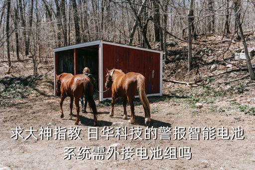 求大神指教 日華科技的警報智能電池系統(tǒng)需外接電池組嗎