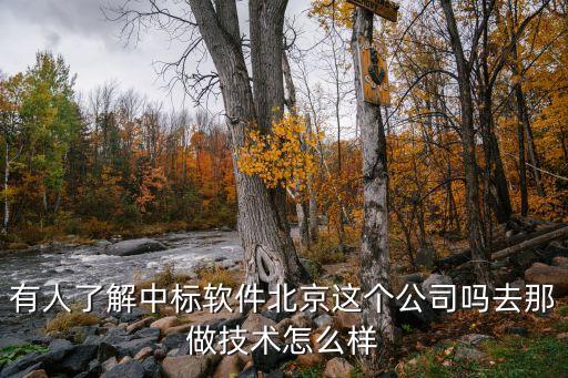 有人了解中標(biāo)軟件北京這個公司嗎去那做技術(shù)怎么樣