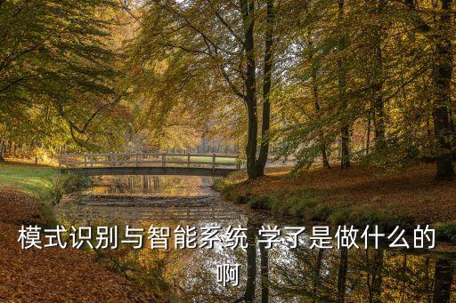 模式識(shí)別與智能系統(tǒng) 學(xué)了是做什么的啊