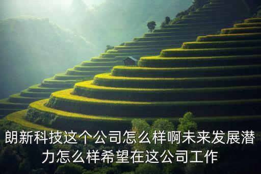 朗新科技這個公司怎么樣啊未來發(fā)展?jié)摿υ趺礃酉Ｍ谶@公司工作
