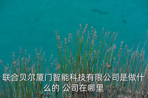 聯(lián)合貝爾廈門智能科技有限公司是做什么的 公司在哪里