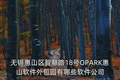 無錫惠山區(qū)智慧路18號OPARK惠山軟件外包園有哪些軟件公司