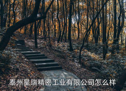 泰州星瑞精密工業(yè)有限公司怎么樣