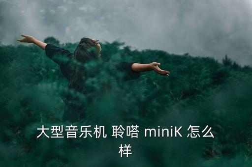 大型音樂(lè)機(jī) 聆嗒 miniK 怎么樣