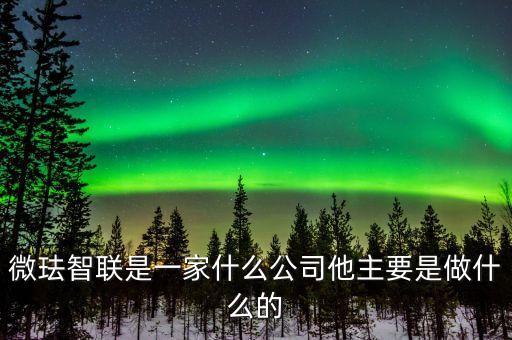 微琺智聯是一家什么公司他主要是做什么的