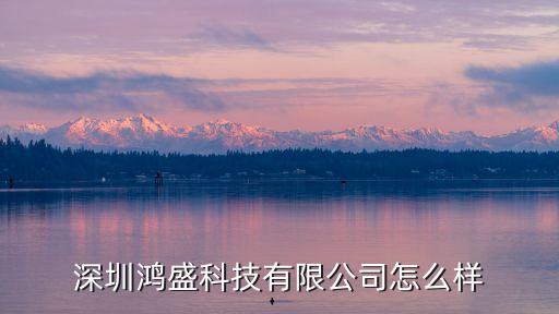 深圳鴻盛科技有限公司怎么樣