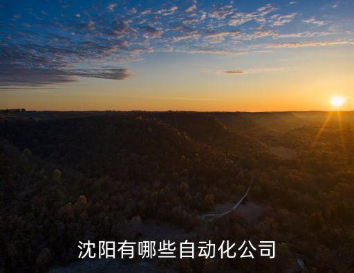 沈陽有哪些自動化公司