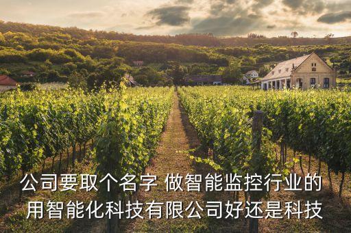 公司要取個名字 做智能監(jiān)控行業(yè)的 用智能化科技有限公司好還是科技