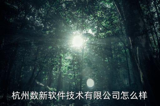 杭州數(shù)新軟件技術(shù)有限公司怎么樣