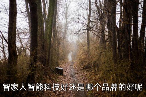 智能科技哪個有用，智家人智能科技好還是哪個品牌的好呢
