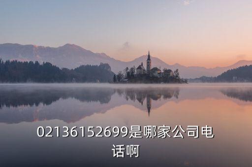 02136152699是哪家公司電話啊