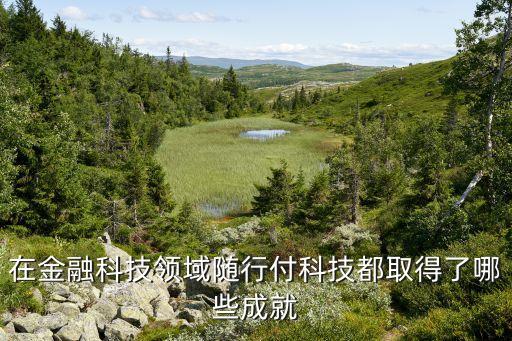 在金融科技領(lǐng)域隨行付科技都取得了哪些成就