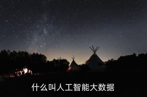 什么叫人工智能大數(shù)據(jù)