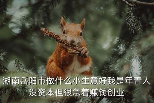 湖南岳陽市做什么小生意好我是年青人沒資本但很急著賺錢創(chuàng)業(yè)