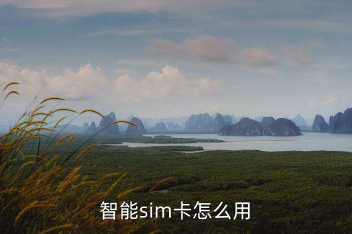 智能sim卡怎么用