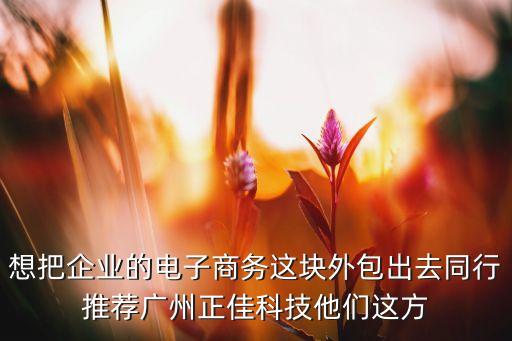 想把企業(yè)的電子商務(wù)這塊外包出去同行推薦廣州正佳科技他們這方