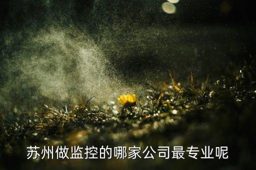 蘇州做監(jiān)控的哪家公司最專業(yè)呢