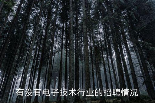 有沒有電子技術(shù)行業(yè)的招聘情況