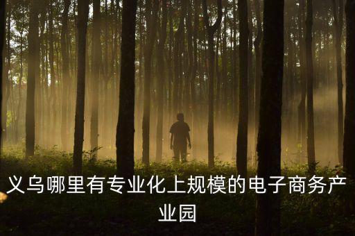 義烏哪里有專業(yè)化上規(guī)模的電子商務(wù)產(chǎn)業(yè)園